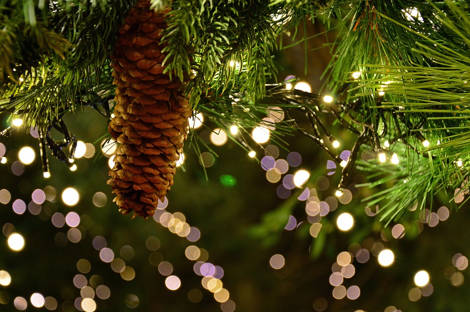 Quando il Natale è dietro l’angolo, la casa è pronta per essere vestita di decorazioni natalizie ricche di magico spirito festivo.