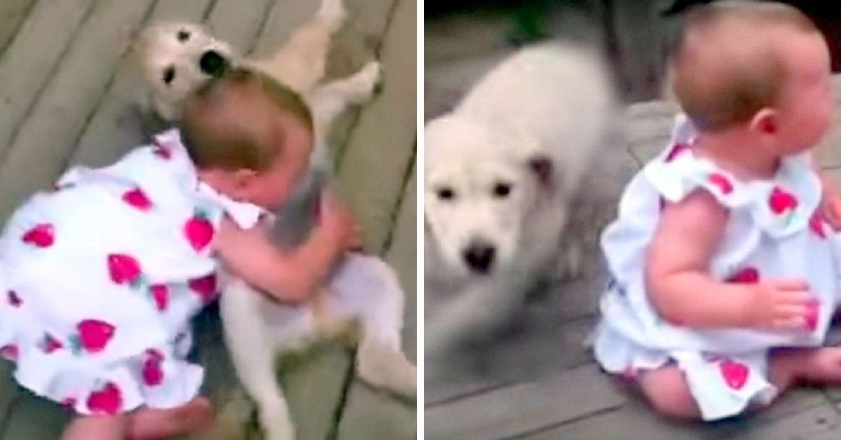 La clip virale della piccola Ella e del cucciolo