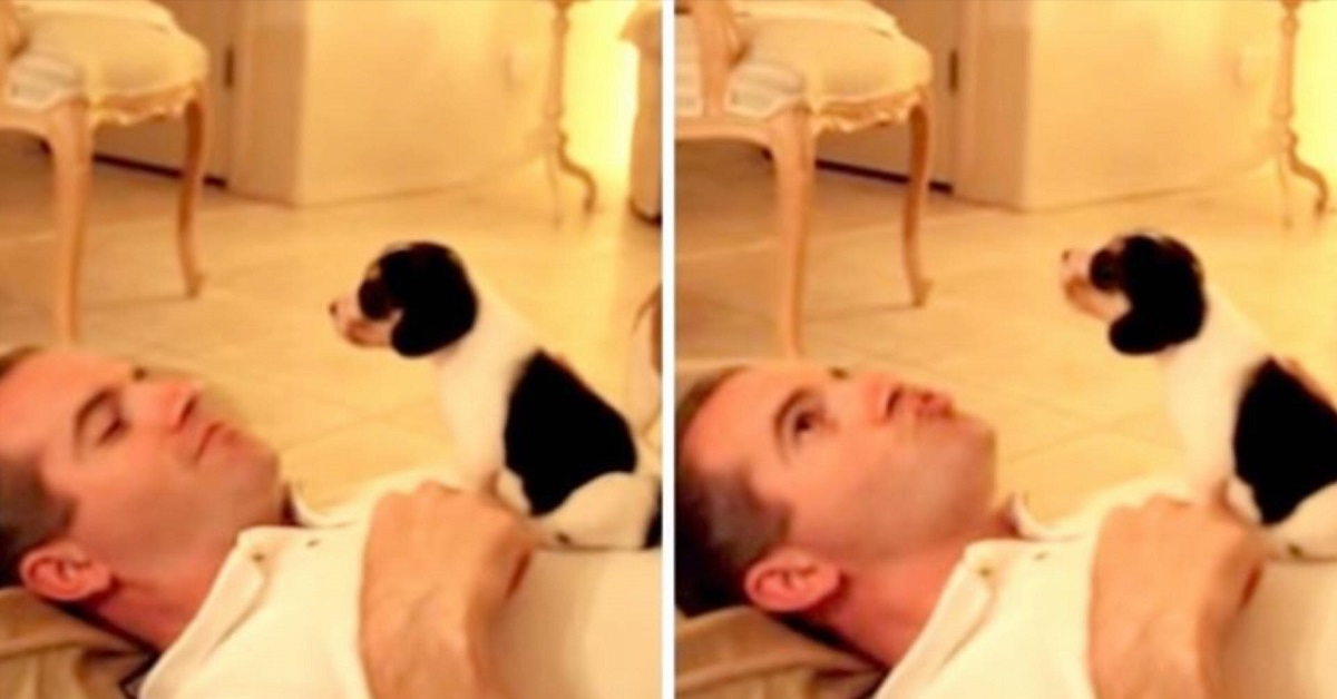 La lezione di Nick con il suo papà umano