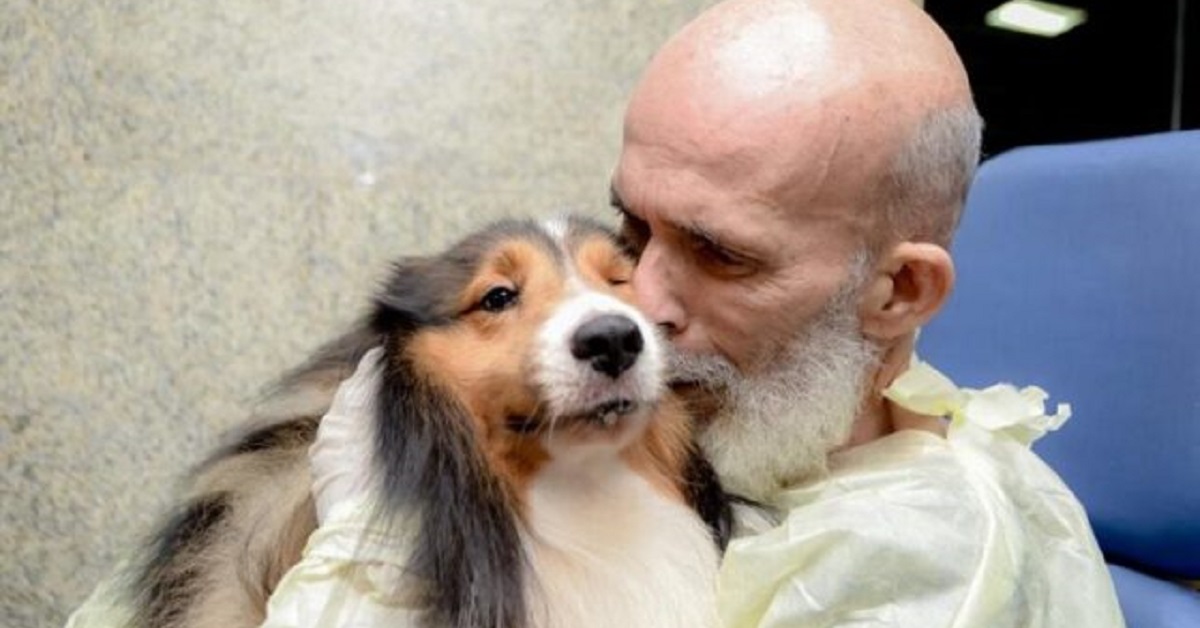 Il cane va a trovarlo a sorpresa in ospedale: malato di cancro ricomincia a mangiare