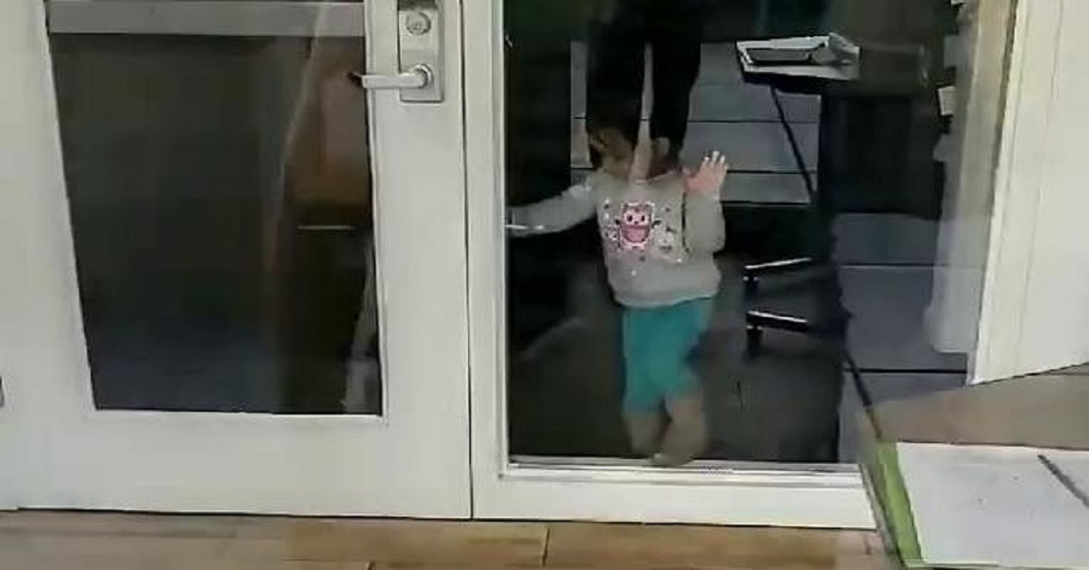 La bimba dimenticata