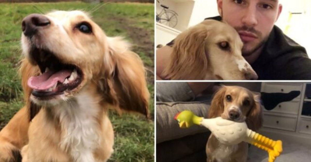 Esce a fare una passeggiata con il suo cane, ma viene ucciso da un cacciatore.