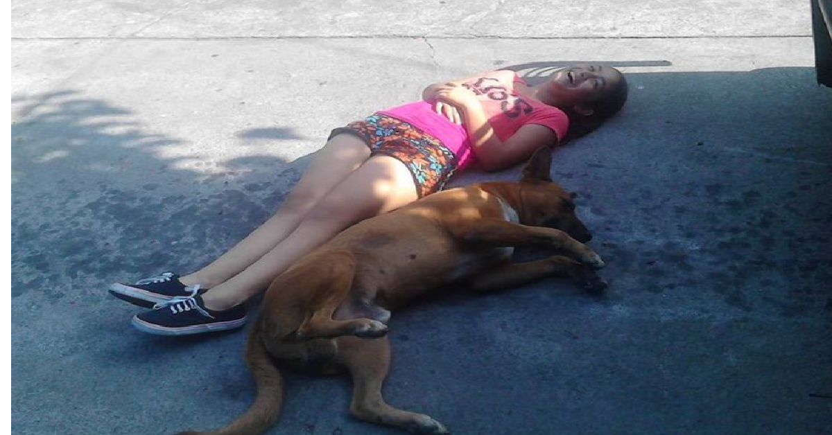 Scooby, randagio fino alla fine