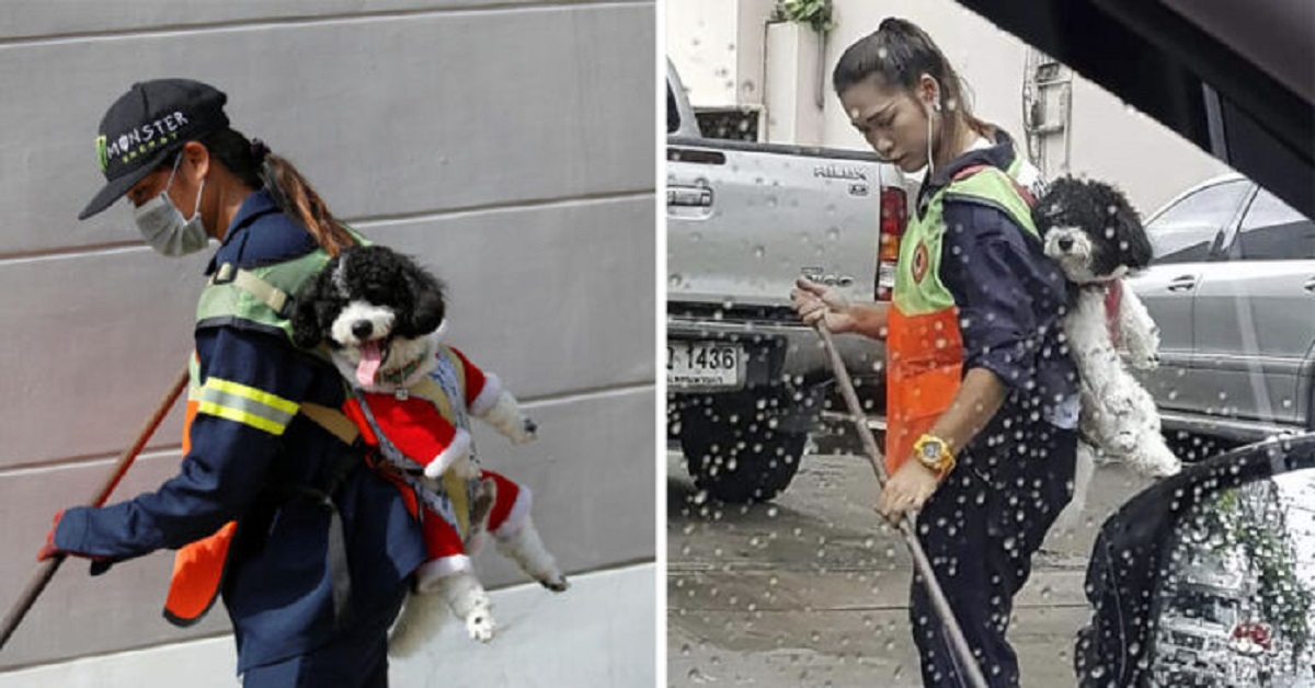 Spazzina va a lavorare ogni giorno con il cane sulle spalle