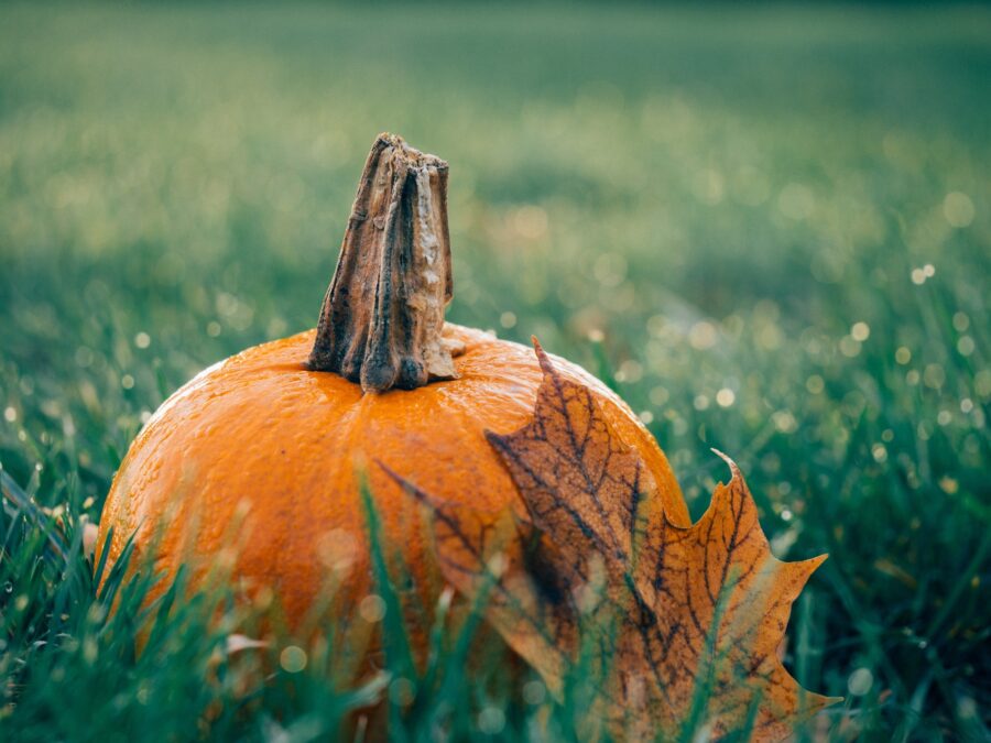 Zucca di Halloween