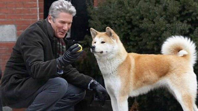 Hachiko