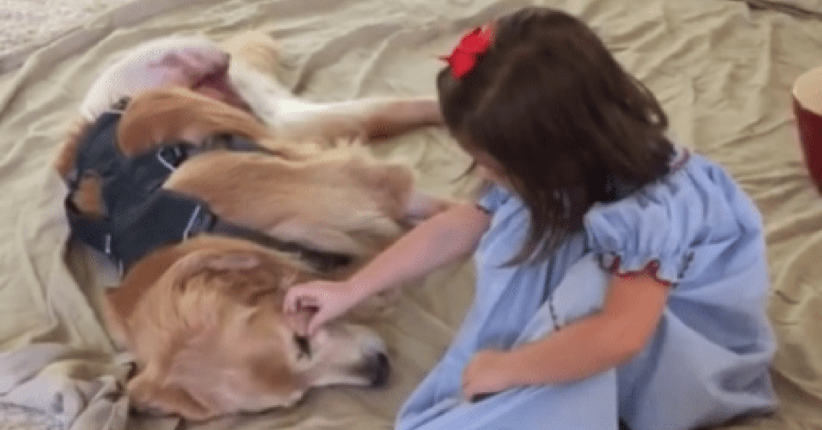 Bambina tenerissima consola il suo cane malato