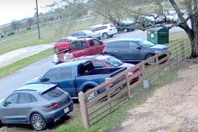 i-cuccioli-abbandonati-in-mezzo-al-parcheggio