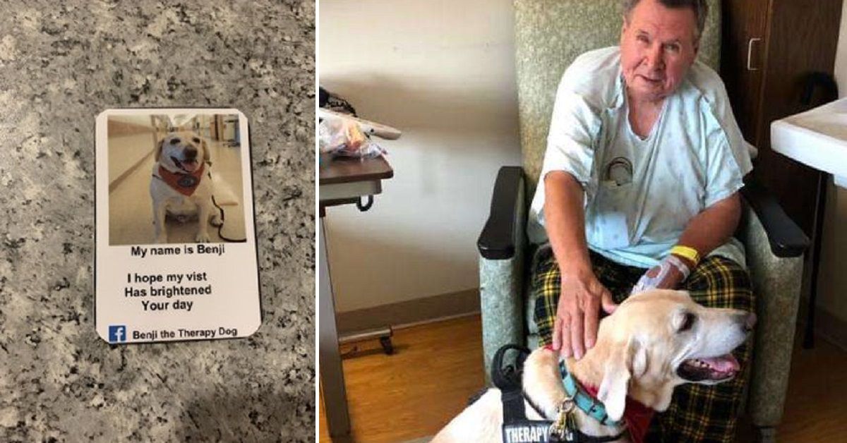 Anche i cani hanno i loro biglietti da visita