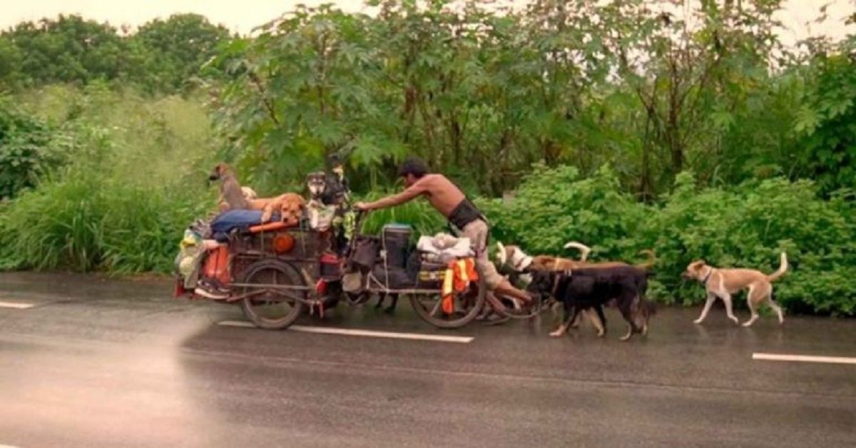 La storia dell’uomo che per 6 anni ha salvato cani in Messico