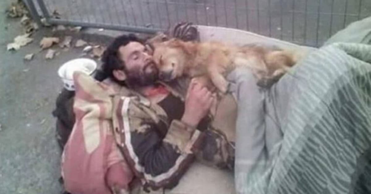 Il senzatetto dorme abbracciato al suo cane