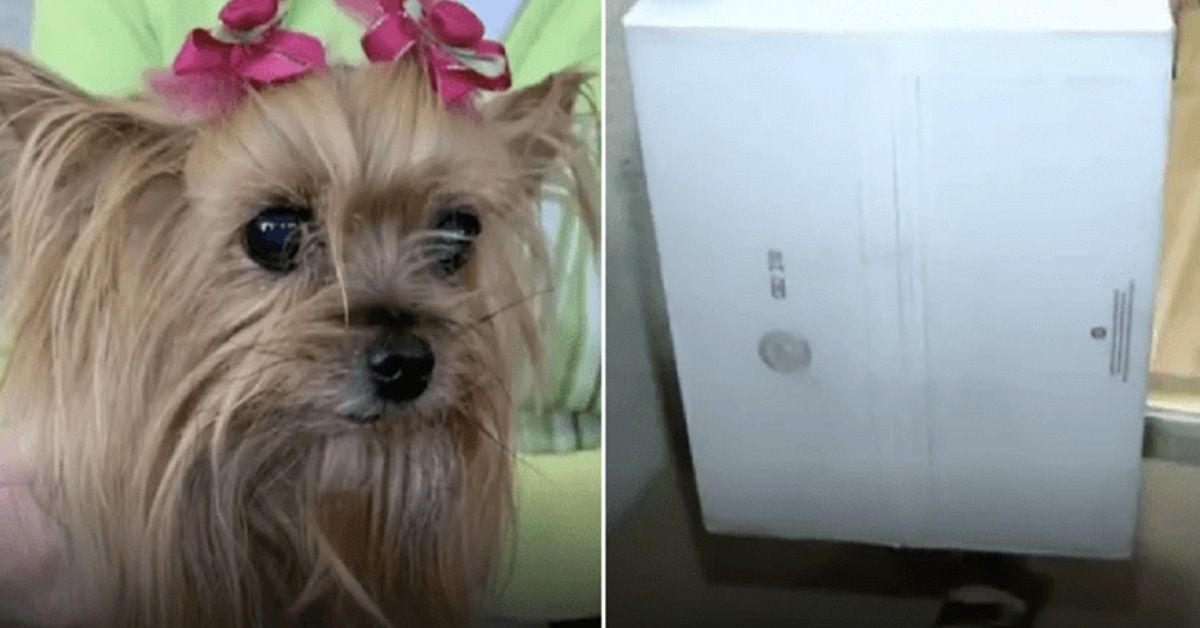 L’incidente in cui la piccola Cooper ha perso la vita