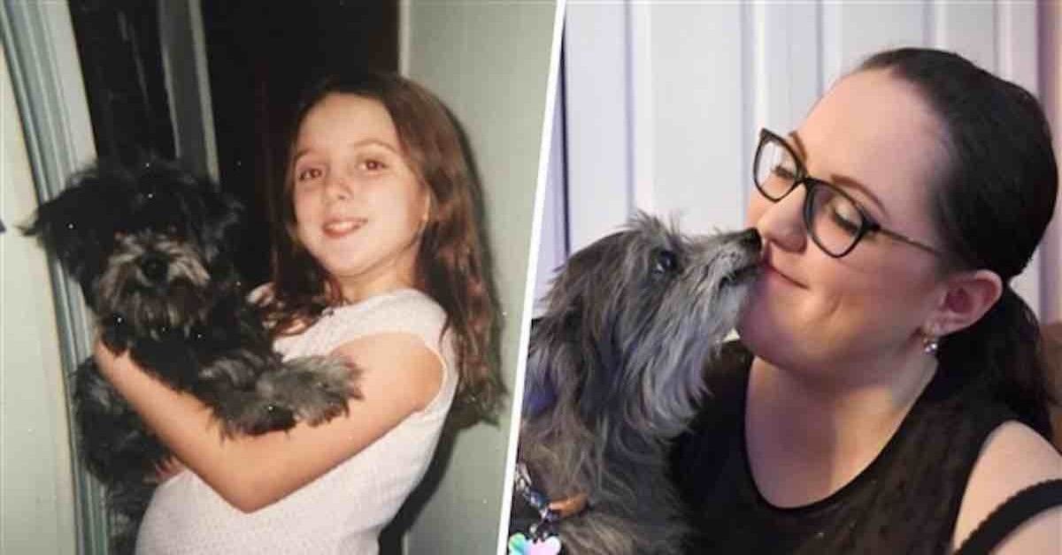 Adotta un cane anziano e poi si rende conto che era lo stesso di quando era bambina