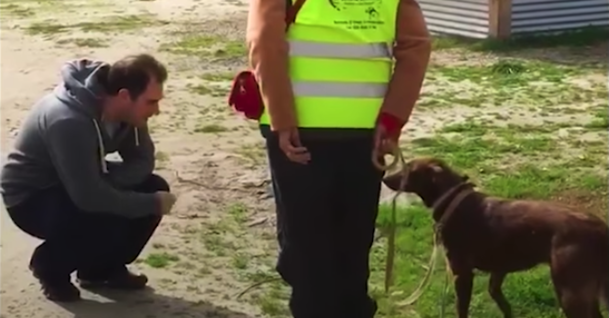 Pakita rivede il suo papà umano, dopo diversi mesi