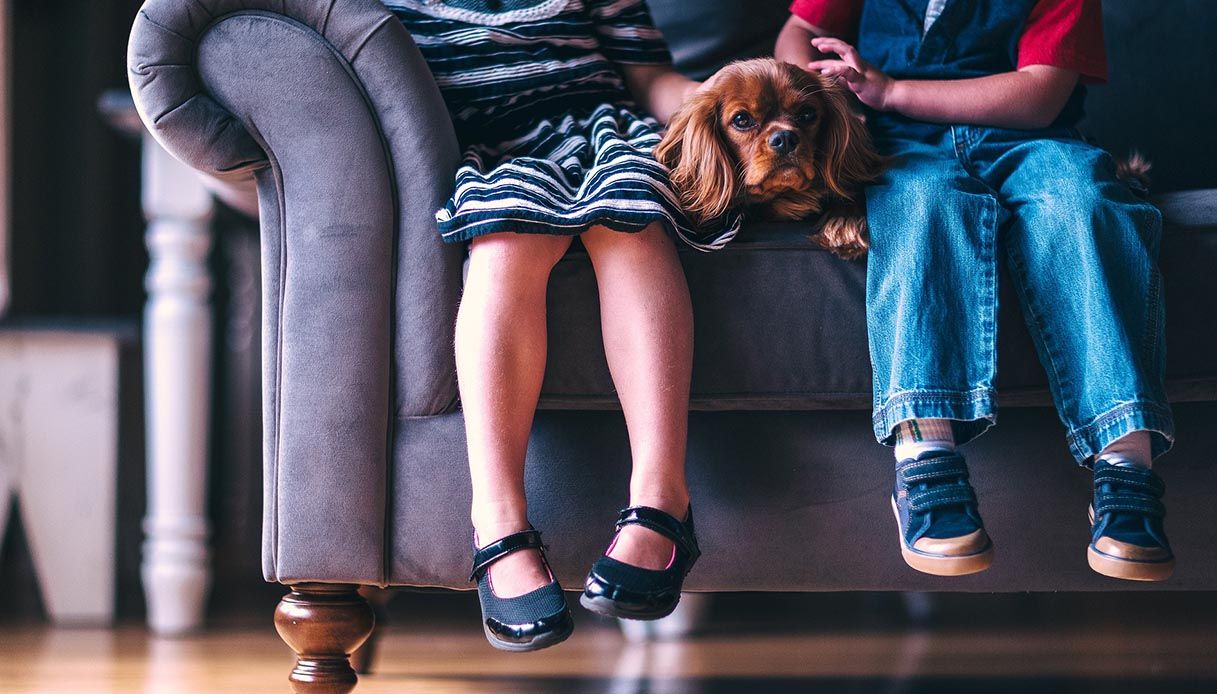 Come tenere casa pulita con un bambino e un animale domestico