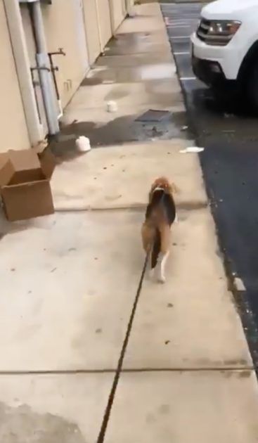 Hope e la sua meta