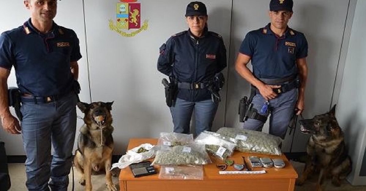 Lamezia Terme, Bruce e Max, due cani poliziotto hanno fatto arrestare una spacciatrice