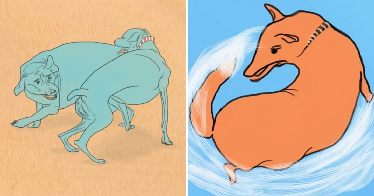 10 cose strane che il cane fa: le spiegazioni dell’esperto