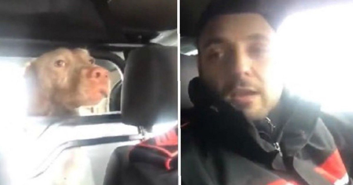 Il video del cane che rubava crocchette ed è stato arrestato