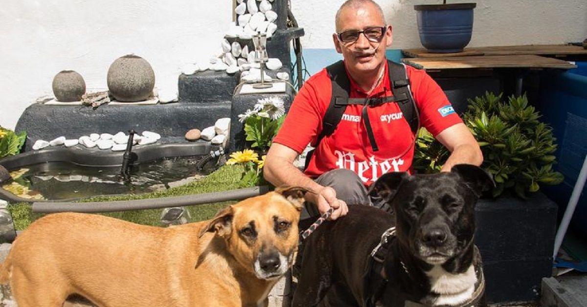 Uomo malato terminale vuole trovare una nuova casa ai suoi cani