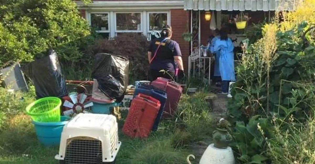 Poliziotti chiamati a controllare la casa puzzolente del vicino, trovano dentro 100 cani