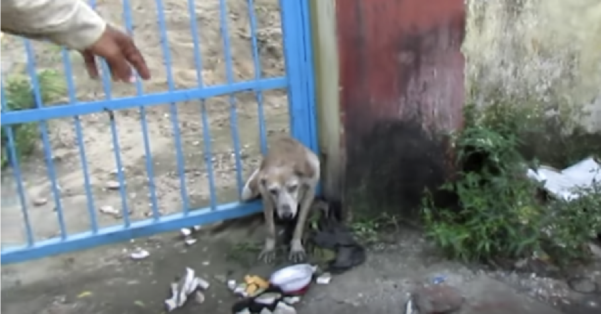 Dotti, buttata via come uno straccio vecchio
