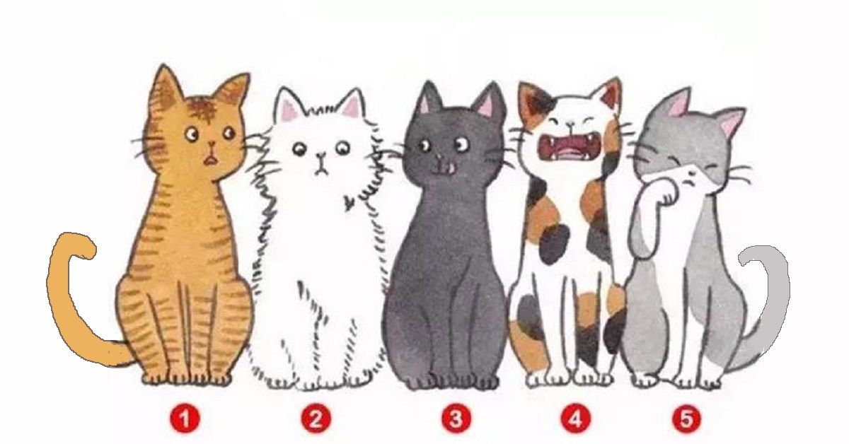 Scegli il gatto che più ti piace e la tua risposta rivelerà ciò che non sapevi di te stesso