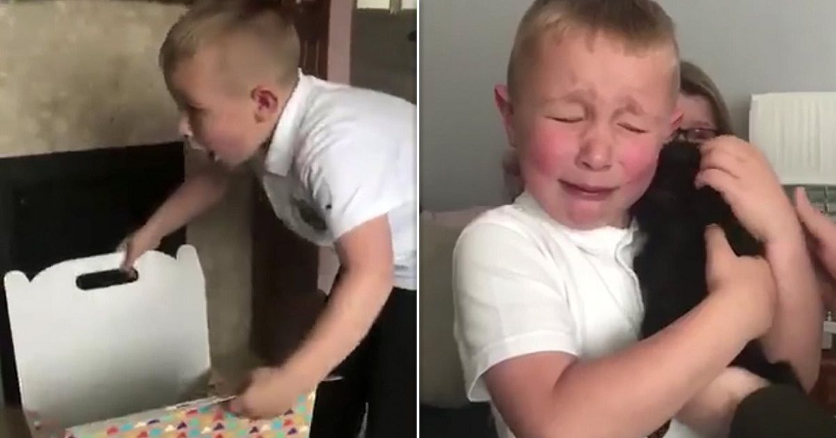 Il regalo dei nonni per il piccolo Jensen