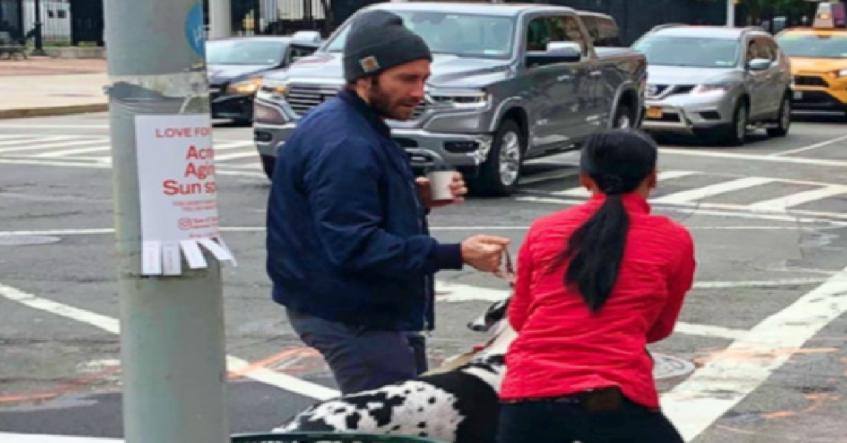 Jake salva un cane da morte certa