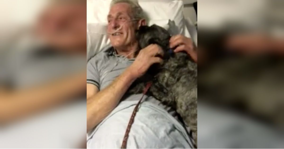 La commovente riunione tra Andy e Teddy
