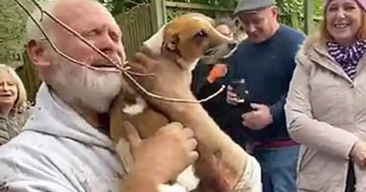 Ritrova il suo cane vivo, dopo due giorni intrappolato in una buca. L’emozionante incontro.