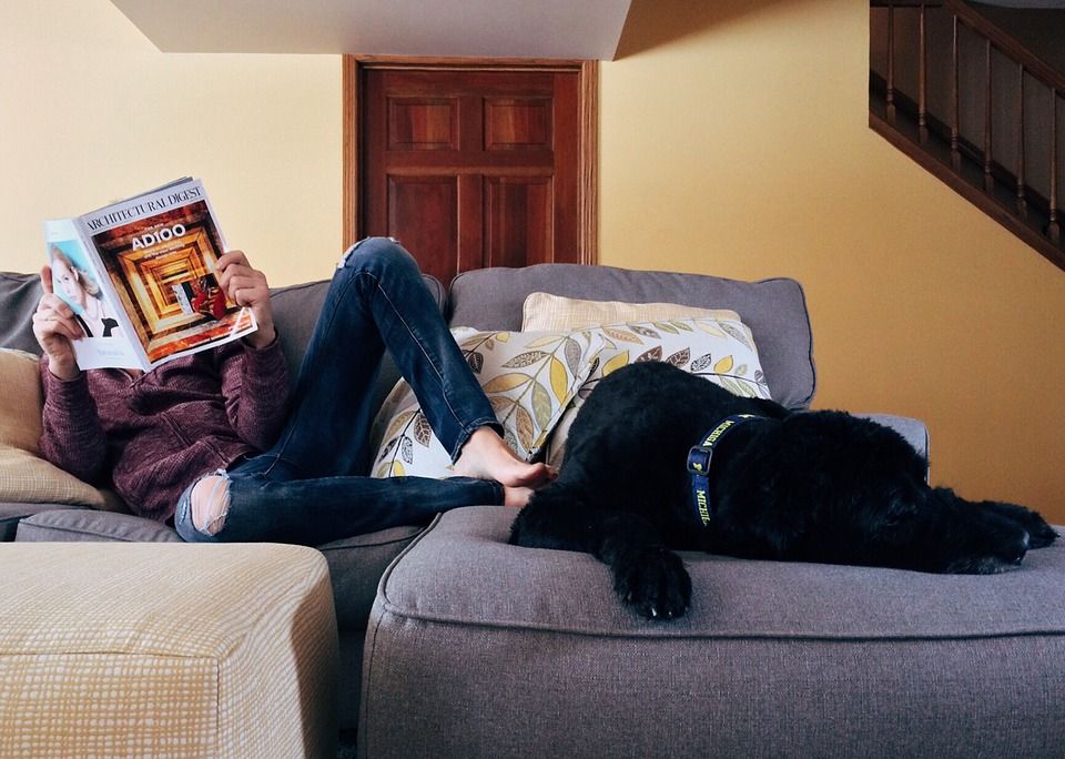 Come tenere casa pulita con un bambino e un animale domestico