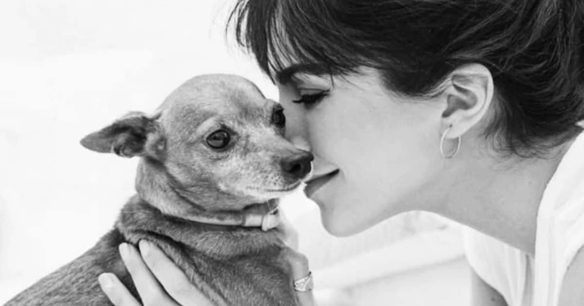 Si è spento Pinchito, il cane di Rocio Munoz Morales e Raul Bova