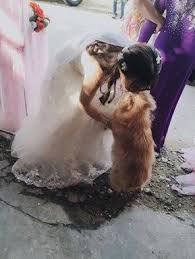 sposa-matrimonio-cane