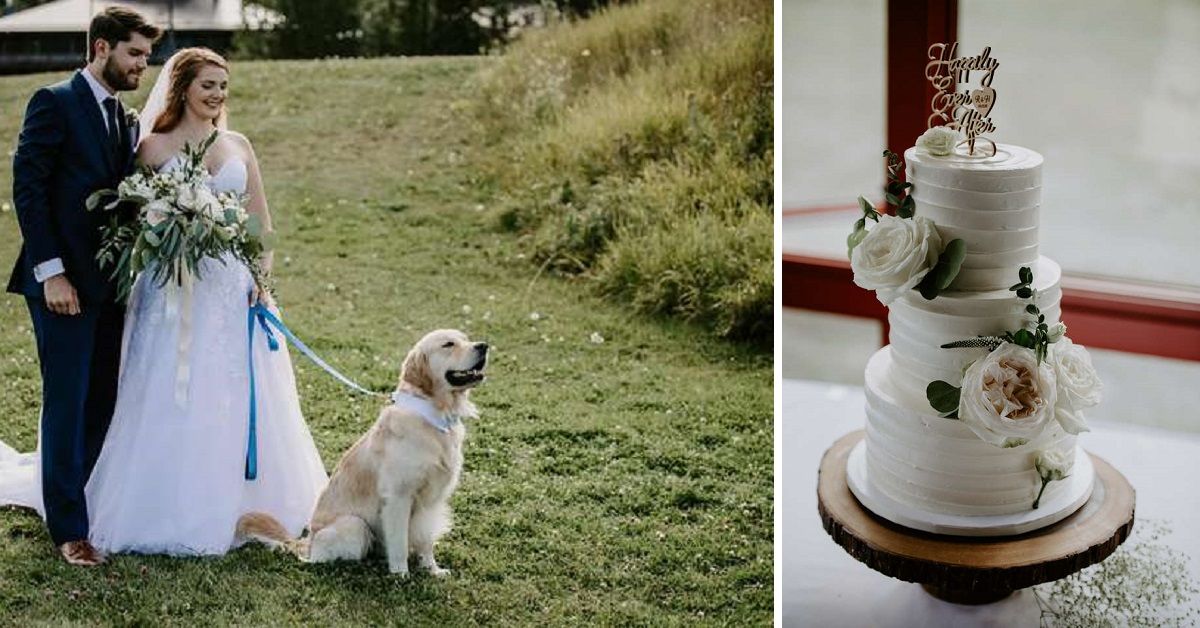 La migliore torta nuziale a tema cani