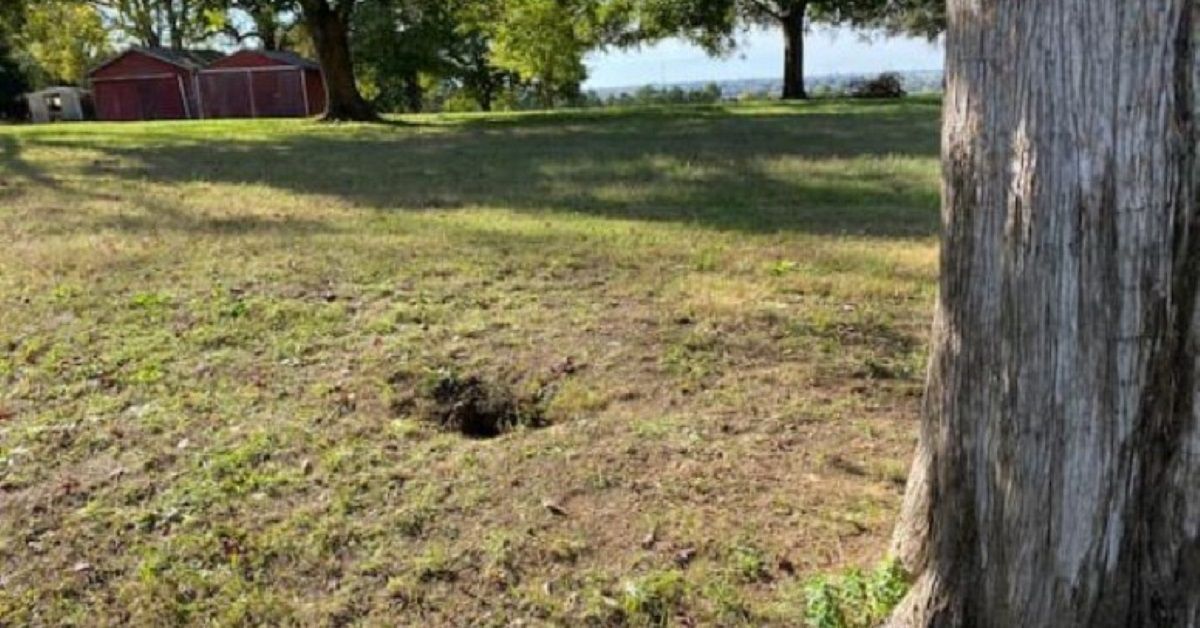 Il salvataggio di un cucciolo che era caduto in un pozzo