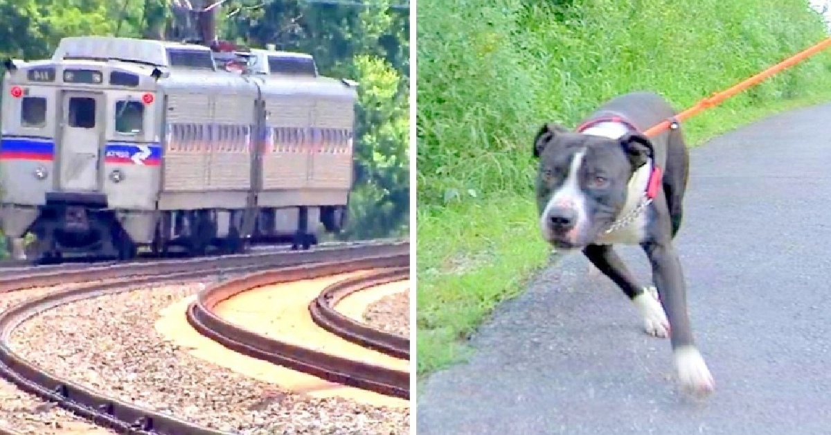 Thomas, abbandonato lungo la ferrovia