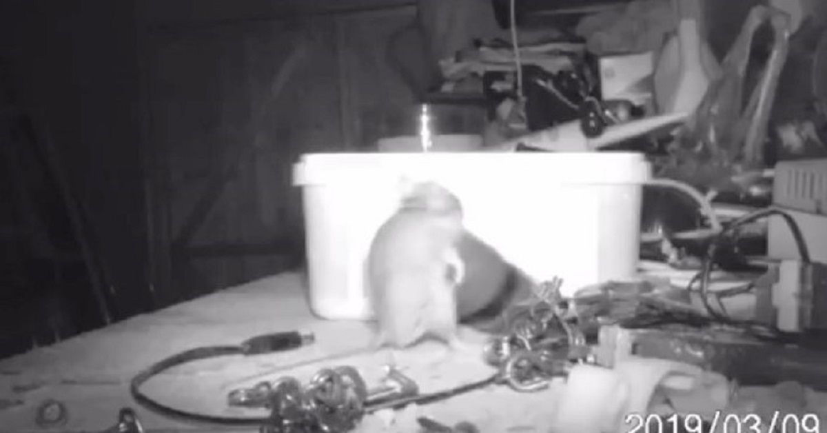 Pensava ci fosse in casa un fantasma che metteva in ordine la notte: ma il responsabile era un altro