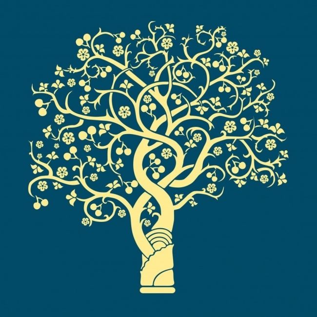 albero