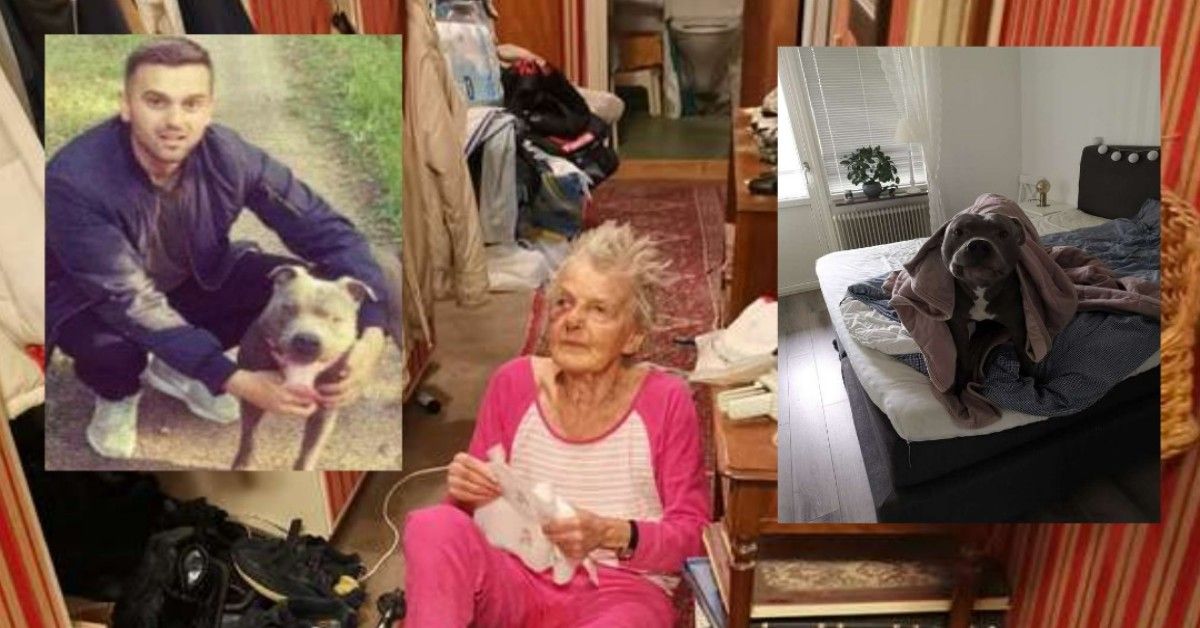 Anziana signora discrimina un cane perché è un pitbull. Oggi però, gli deve la vita.