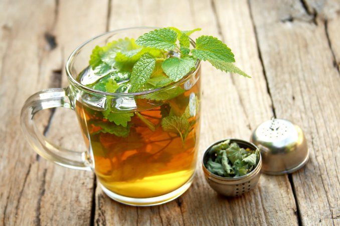 Tisana alla Melissa, benefici e controindicazioni