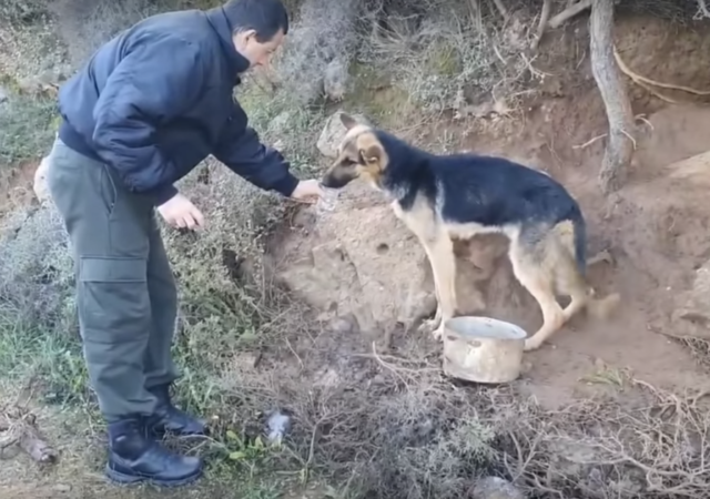 Takis-trova-il-cane-abbandonato-legato-ad-un-albero 1