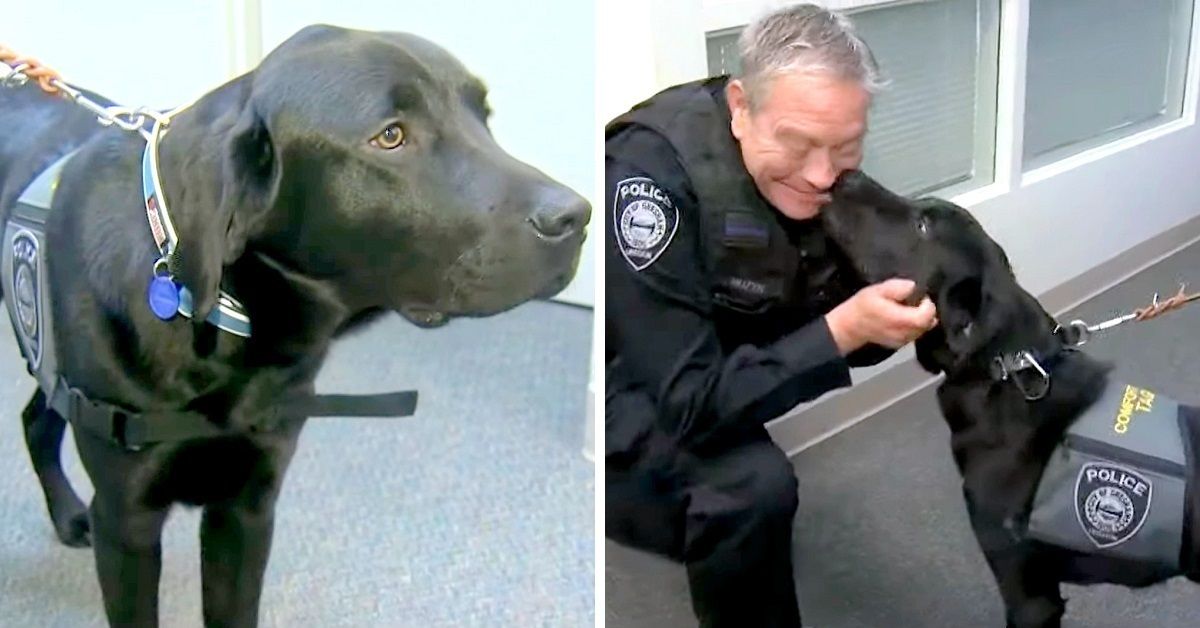 Tagg il nuovo cane poliziotto