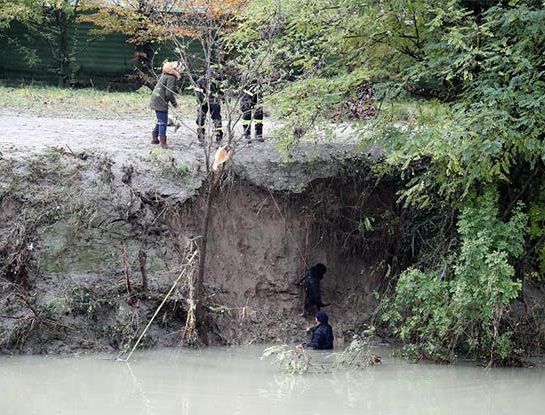 cane-acqua-vigili