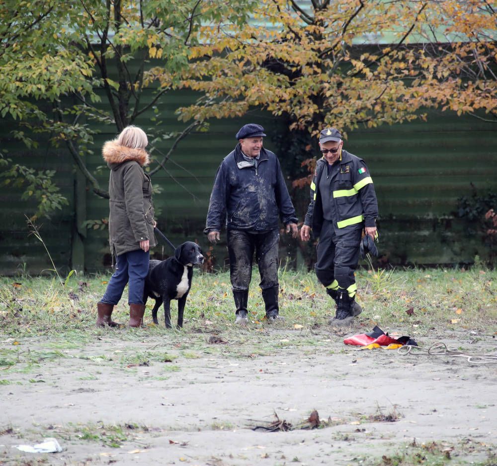 cane-labrador-proprietario-santerno