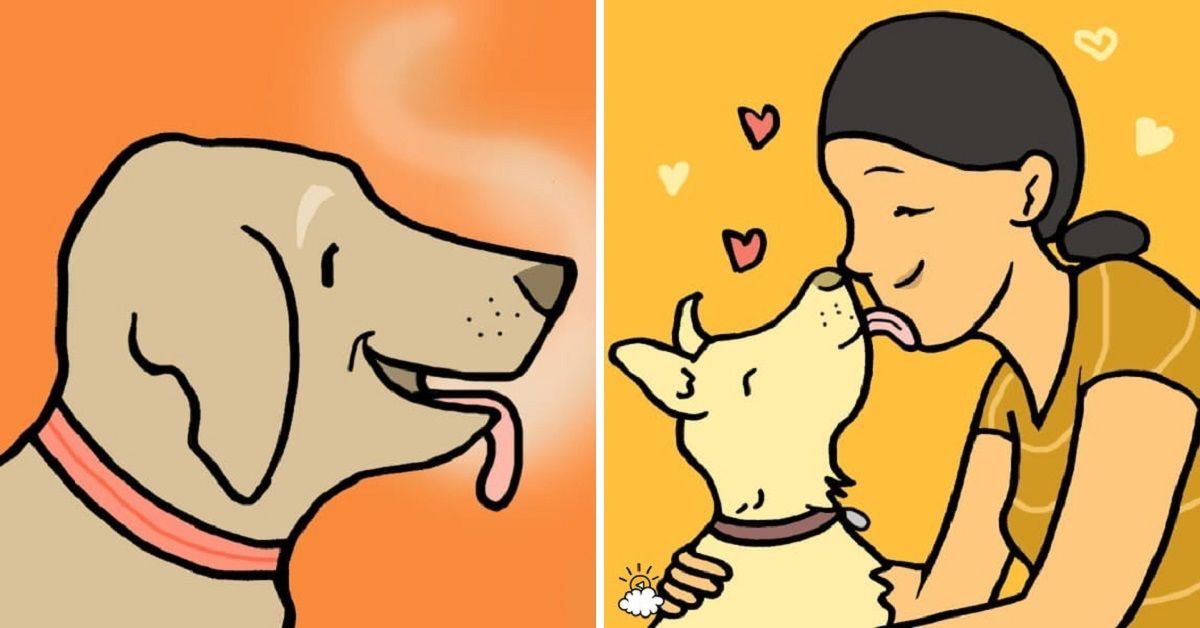 8 motivi per cui dovresti sempre lasciare che il tuo cane ti lecchi il viso