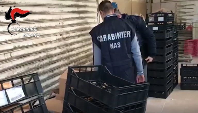 Milano. Trovati piccioni, parassiti ed escrementi in un panificio