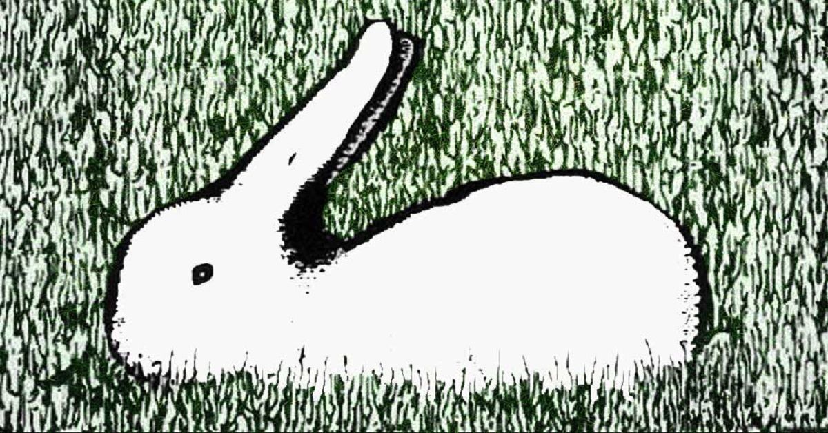 L’animale vedi che vedi ti dice che tipo di persona sei