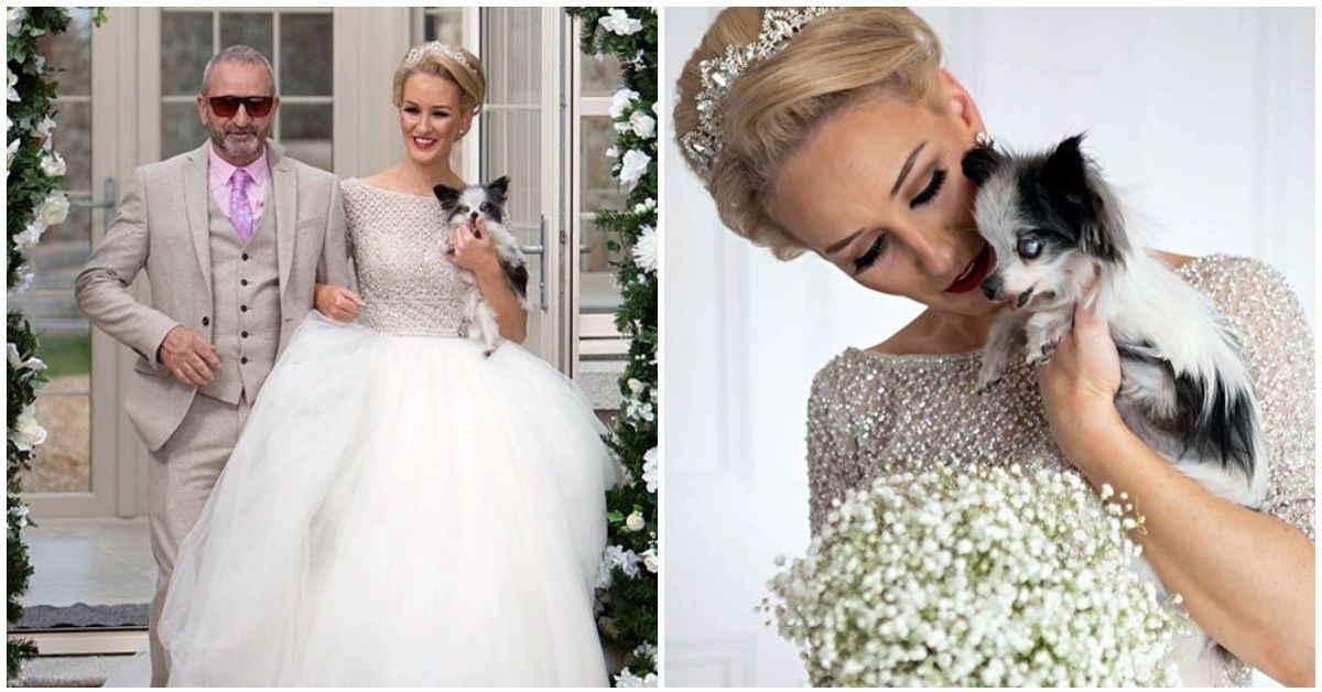 Coppia si sposa con i loro otto cani presenti