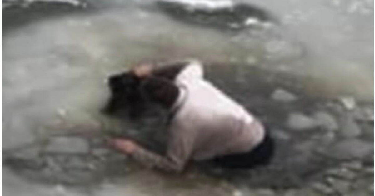 Il cane nel fiume